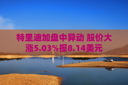 特里迪加盘中异动 股价大涨5.03%报8.14美元