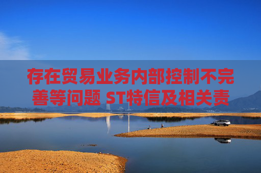 存在贸易业务内部控制不完善等问题 ST特信及相关责任人被采取行政监管措施