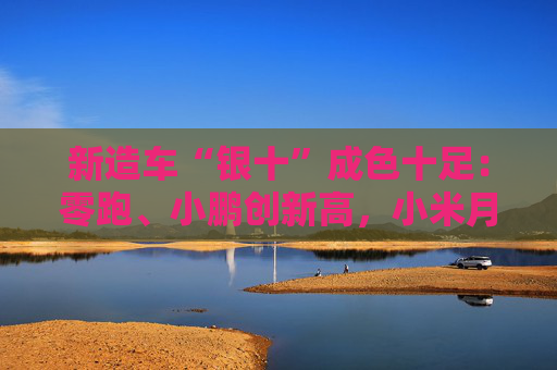 新造车“银十”成色十足：零跑、小鹏创新高，小米月销首破2万辆