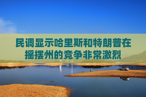 民调显示哈里斯和特朗普在摇摆州的竞争非常激烈