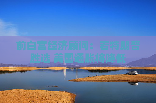 前白宫经济顾问：若特朗普胜选 美国通胀将降低