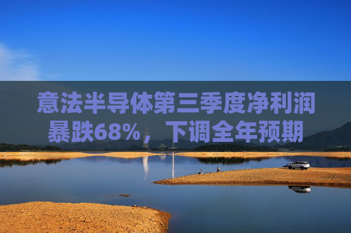 意法半导体第三季度净利润暴跌68%，下调全年预期