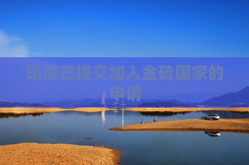 印尼已提交加入金砖国家的申请