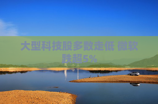 大型科技股多数走低 微软跌超5%