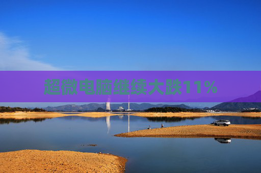 超微电脑继续大跌11%