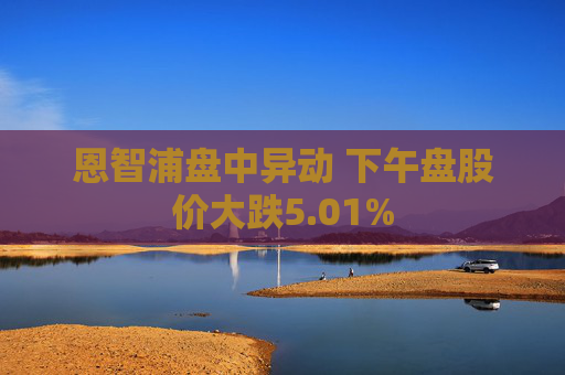 恩智浦盘中异动 下午盘股价大跌5.01%
