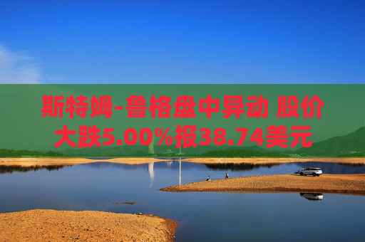 斯特姆-鲁格盘中异动 股价大跌5.00%报38.74美元