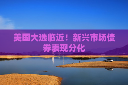 美国大选临近！新兴市场债券表现分化