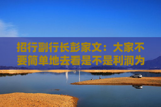 招行副行长彭家文：大家不要简单地去看是不是利润为正，重点还是看趋势