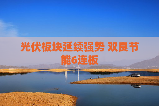 光伏板块延续强势 双良节能6连板