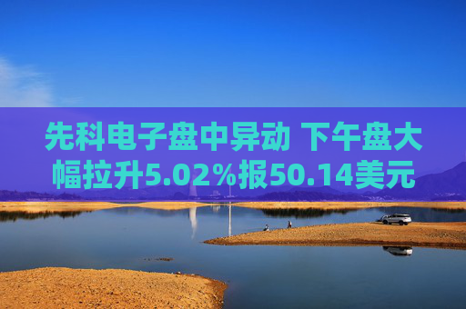先科电子盘中异动 下午盘大幅拉升5.02%报50.14美元