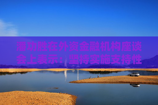 潘功胜在外资金融机构座谈会上表示：坚持实施支持性货币政策 加强与市场沟通不断提升服务质效
