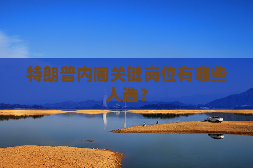 特朗普内阁关键岗位有哪些人选？
