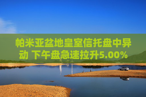 帕米亚盆地皇室信托盘中异动 下午盘急速拉升5.00%
