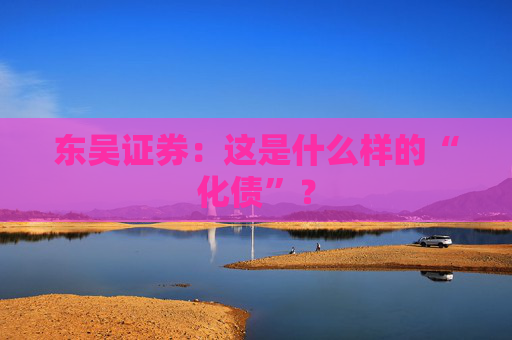 东吴证券：这是什么样的“化债”？