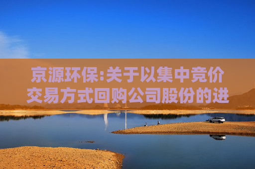 京源环保:关于以集中竞价交易方式回购公司股份的进展公告