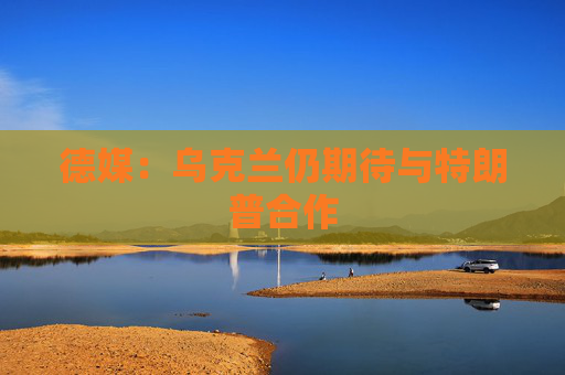 德媒：乌克兰仍期待与特朗普合作