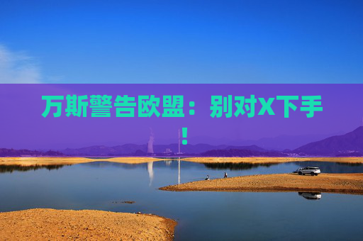 万斯警告欧盟：别对X下手！