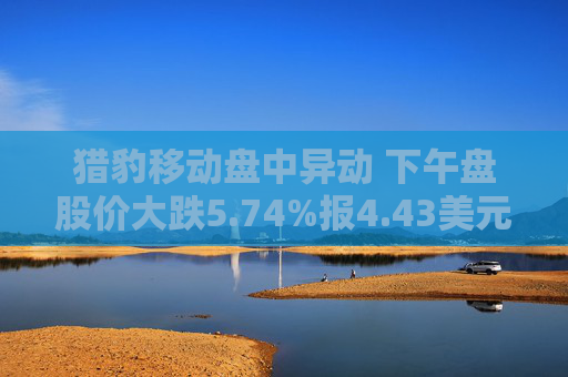 猎豹移动盘中异动 下午盘股价大跌5.74%报4.43美元
