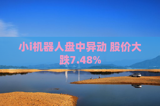 小i机器人盘中异动 股价大跌7.48%