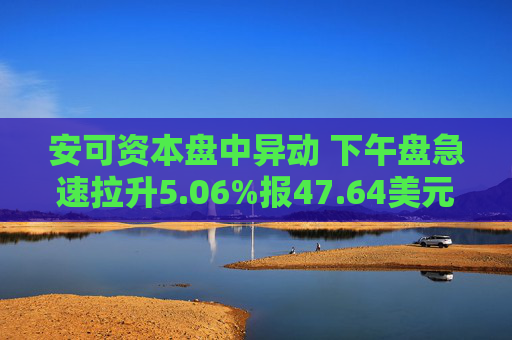 安可资本盘中异动 下午盘急速拉升5.06%报47.64美元