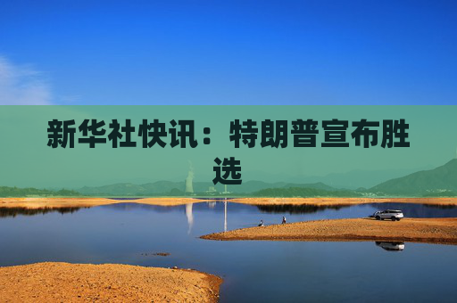 新华社快讯：特朗普宣布胜选