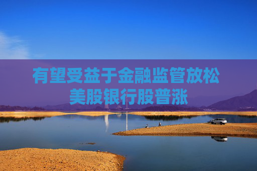 有望受益于金融监管放松 美股银行股普涨