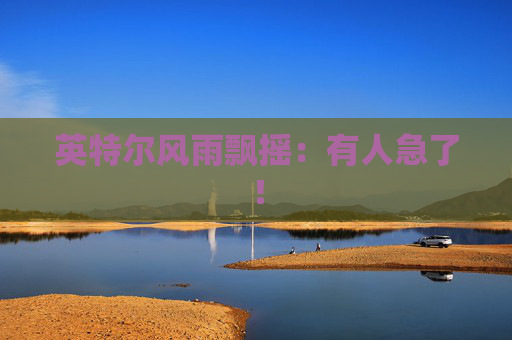 英特尔风雨飘摇：有人急了！