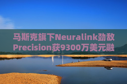 马斯克旗下Neuralink劲敌Precision获9300万美元融资 估值约达5亿美元