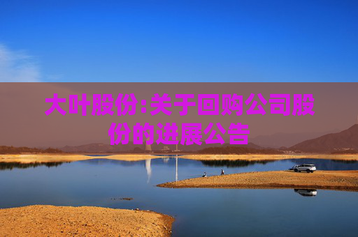 大叶股份:关于回购公司股份的进展公告