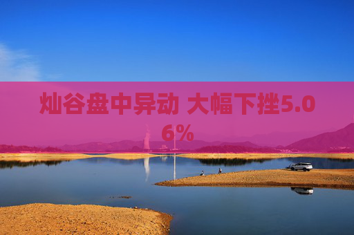 灿谷盘中异动 大幅下挫5.06%