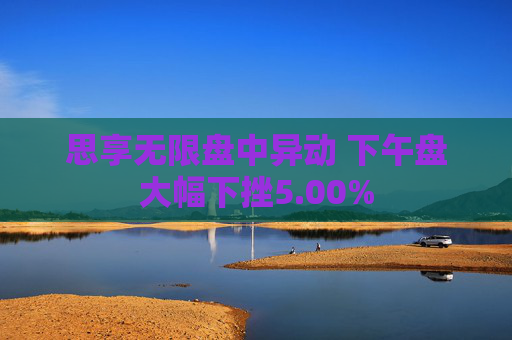思享无限盘中异动 下午盘大幅下挫5.00%