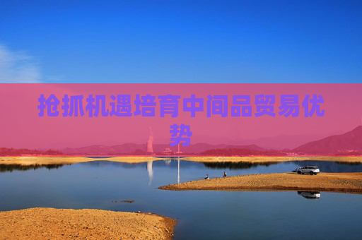 抢抓机遇培育中间品贸易优势