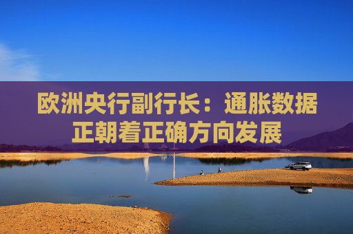 欧洲央行副行长：通胀数据正朝着正确方向发展