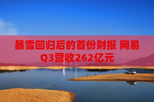暴雪回归后的首份财报 网易Q3营收262亿元