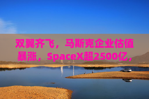 双翼齐飞，马斯克企业估值暴涨，SpaceX超2500亿，xAI达450亿