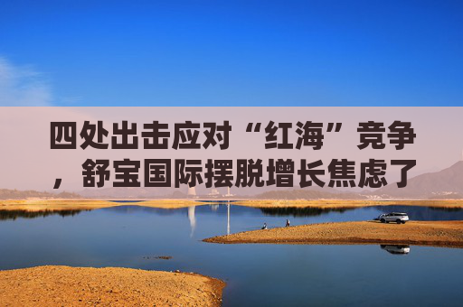 四处出击应对“红海”竞争，舒宝国际摆脱增长焦虑了？