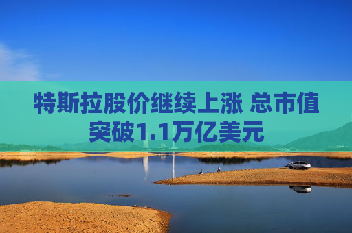 特斯拉股价继续上涨 总市值突破1.1万亿美元