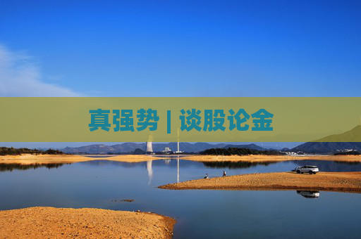 真强势 | 谈股论金