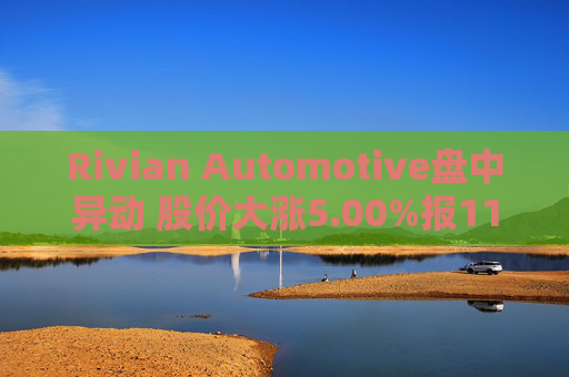 Rivian Automotive盘中异动 股价大涨5.00%报11.12美元