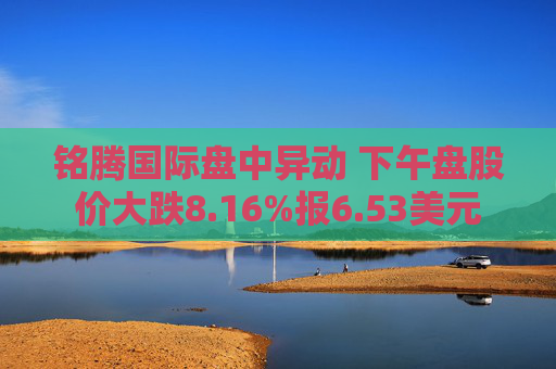 铭腾国际盘中异动 下午盘股价大跌8.16%报6.53美元