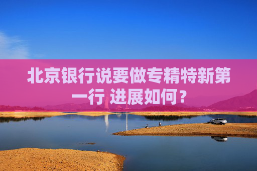北京银行说要做专精特新第一行 进展如何？