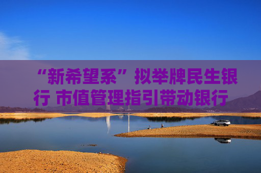 “新希望系”拟举牌民生银行 市值管理指引带动银行股成“香饽饽”？