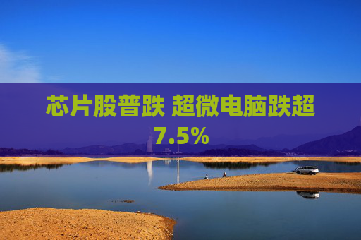 芯片股普跌 超微电脑跌超7.5%