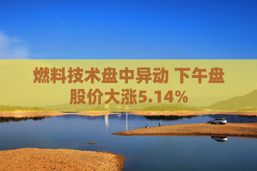 燃料技术盘中异动 下午盘股价大涨5.14%