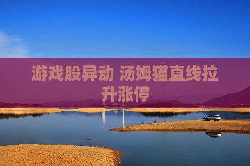 游戏股异动 汤姆猫直线拉升涨停