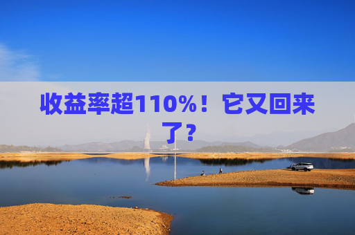 收益率超110%！它又回来了？