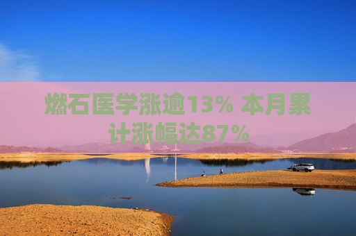 燃石医学涨逾13% 本月累计涨幅达87%
