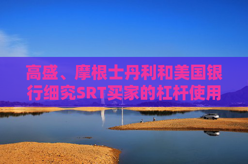 高盛、摩根士丹利和美国银行细究SRT买家的杠杆使用情况