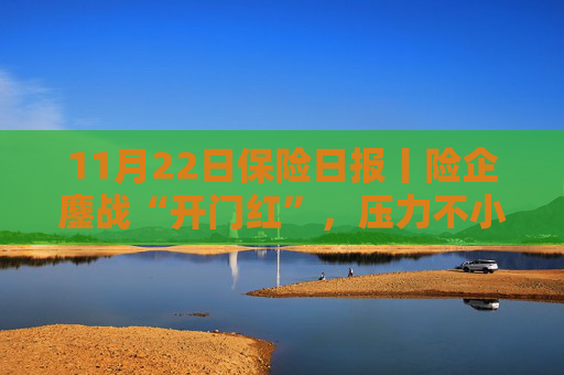 11月22日保险日报丨险企鏖战“开门红”，压力不小但不能不“战”！9家银行系险企前三季度实现净利润超168亿
